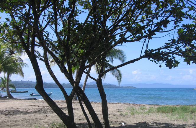 Costa Rica  Nationale Parken en Caribische Zee 14daagse fly enen drive 4