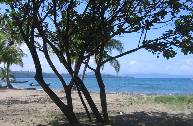 Costa Rica  Nationale Parken en Pacific 16daagse fly enen drive 4